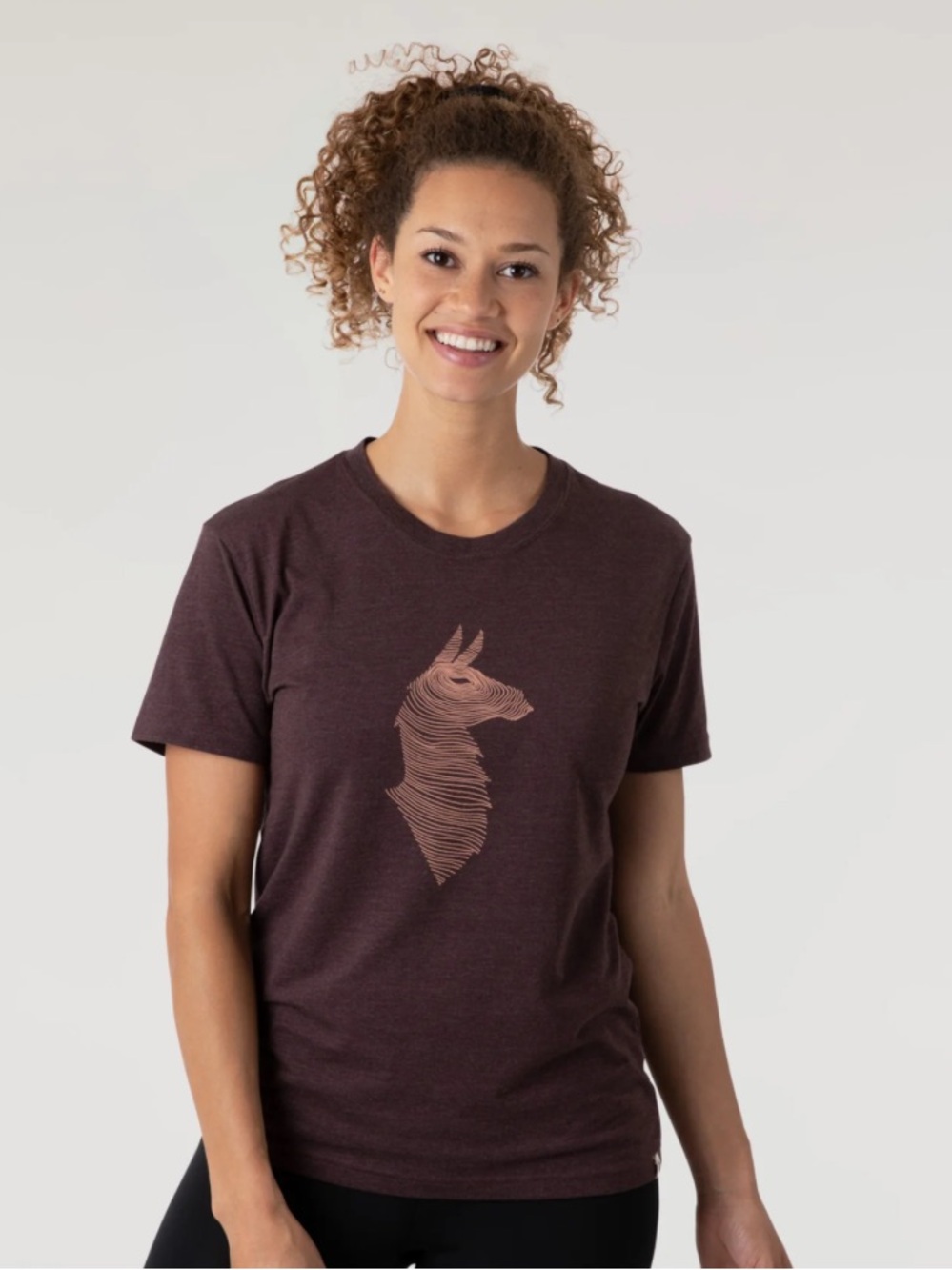 Cotopaxi Topo Llama T-Shirt